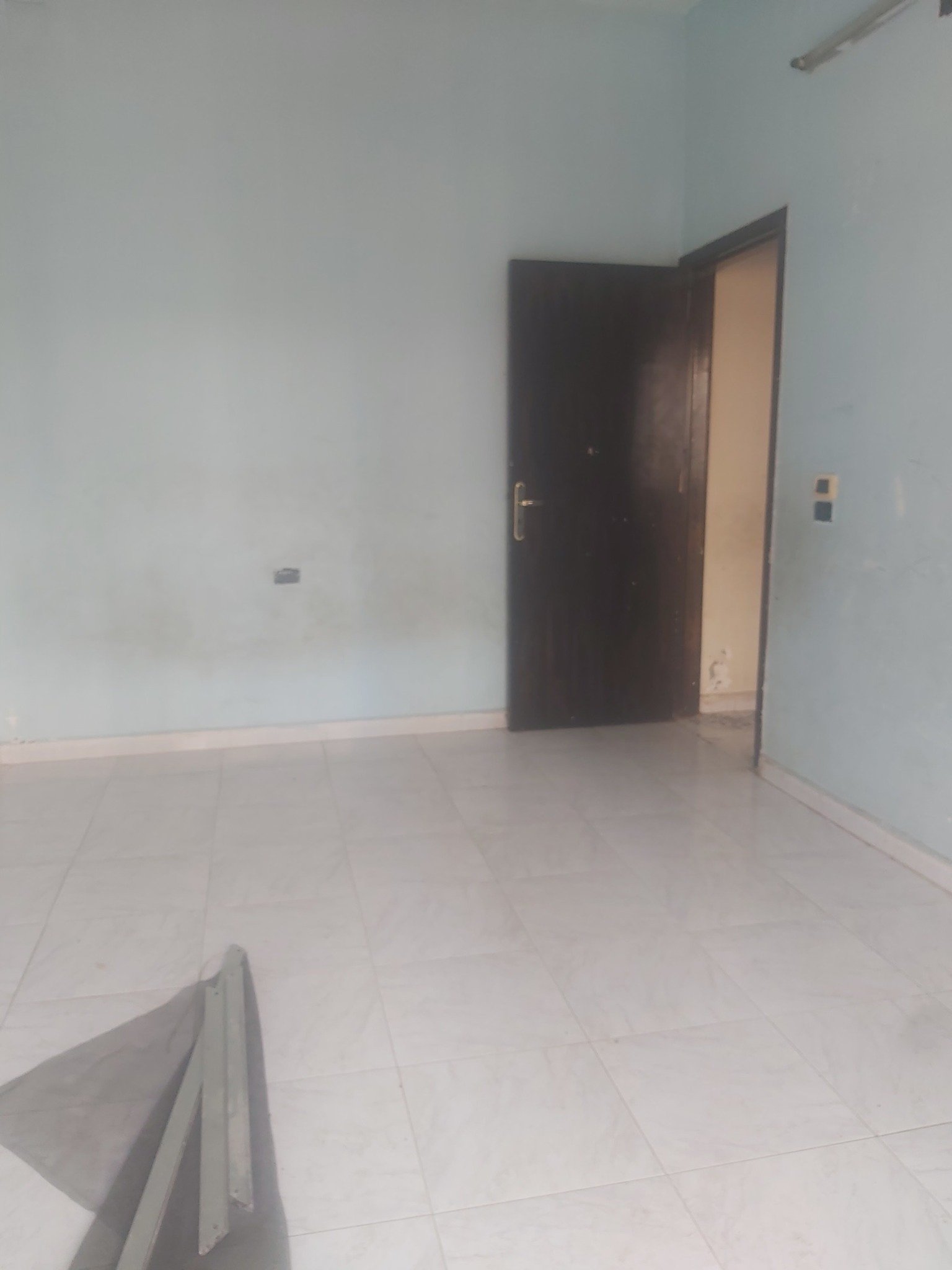 493290264_1026703139659965_3995279821386445829_n