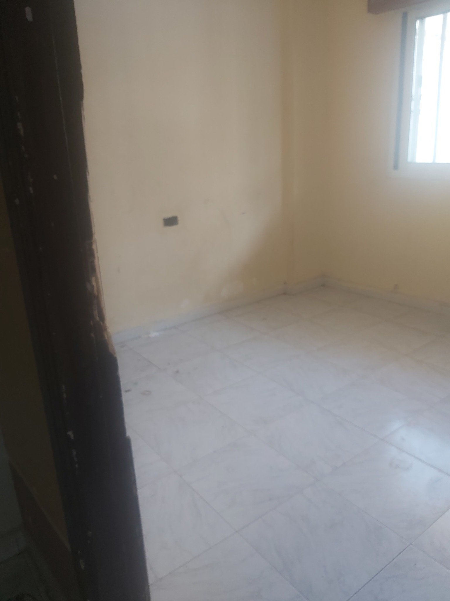 493690298_1026703316326614_3241783913351867814_n