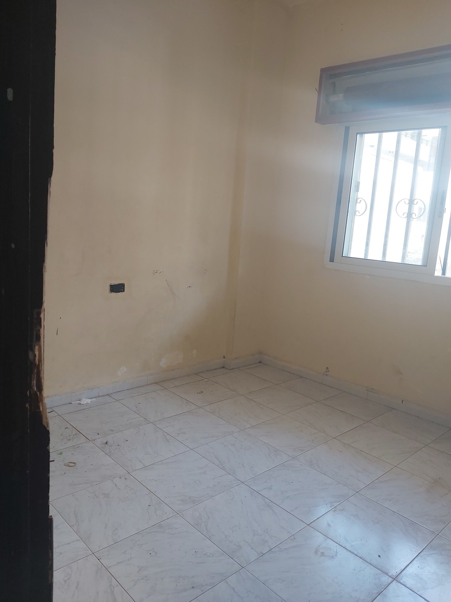 493814729_1026703502993262_1626755797105953936_n