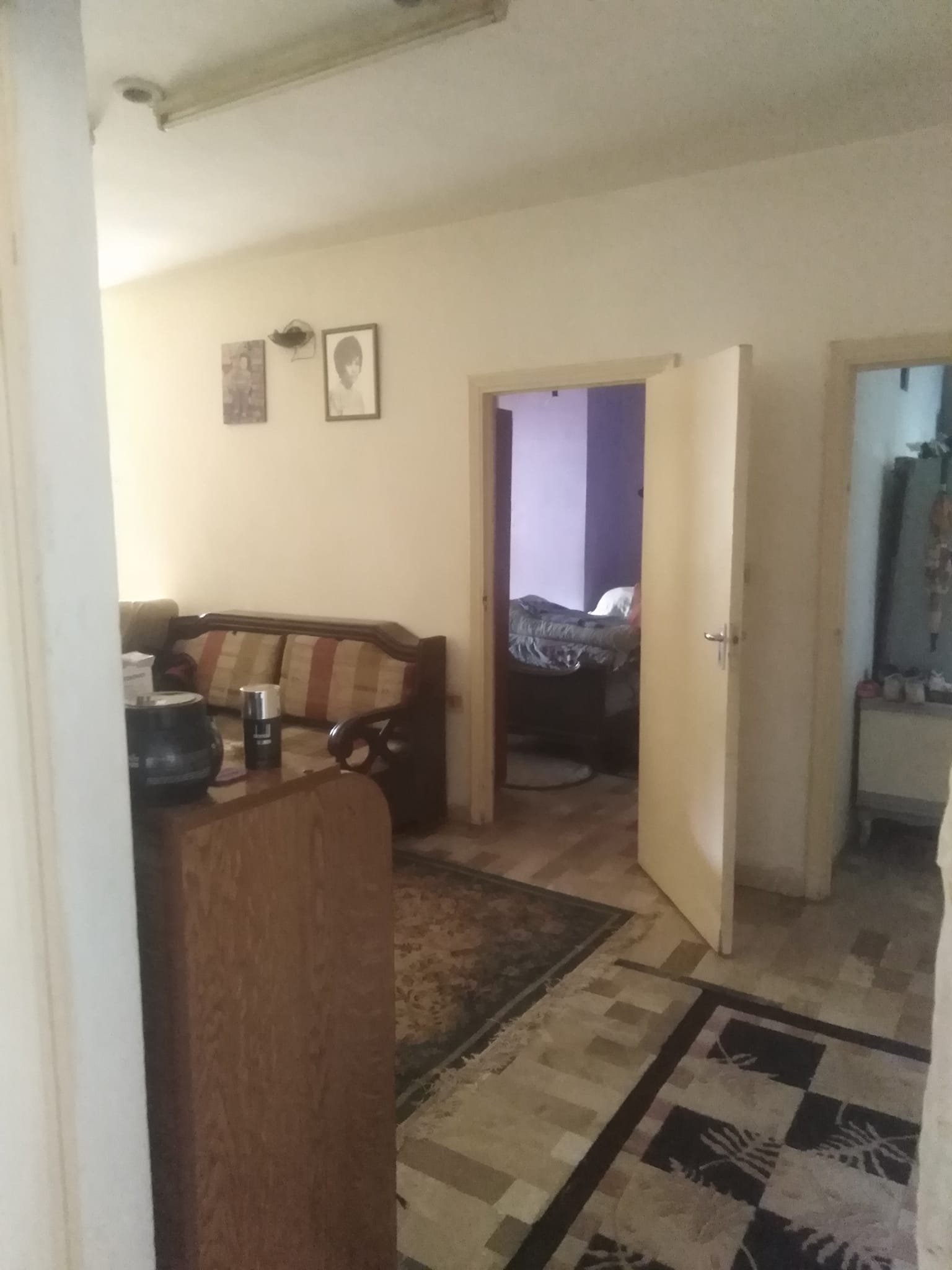 494202297_1403920627593057_71885691472576419_n