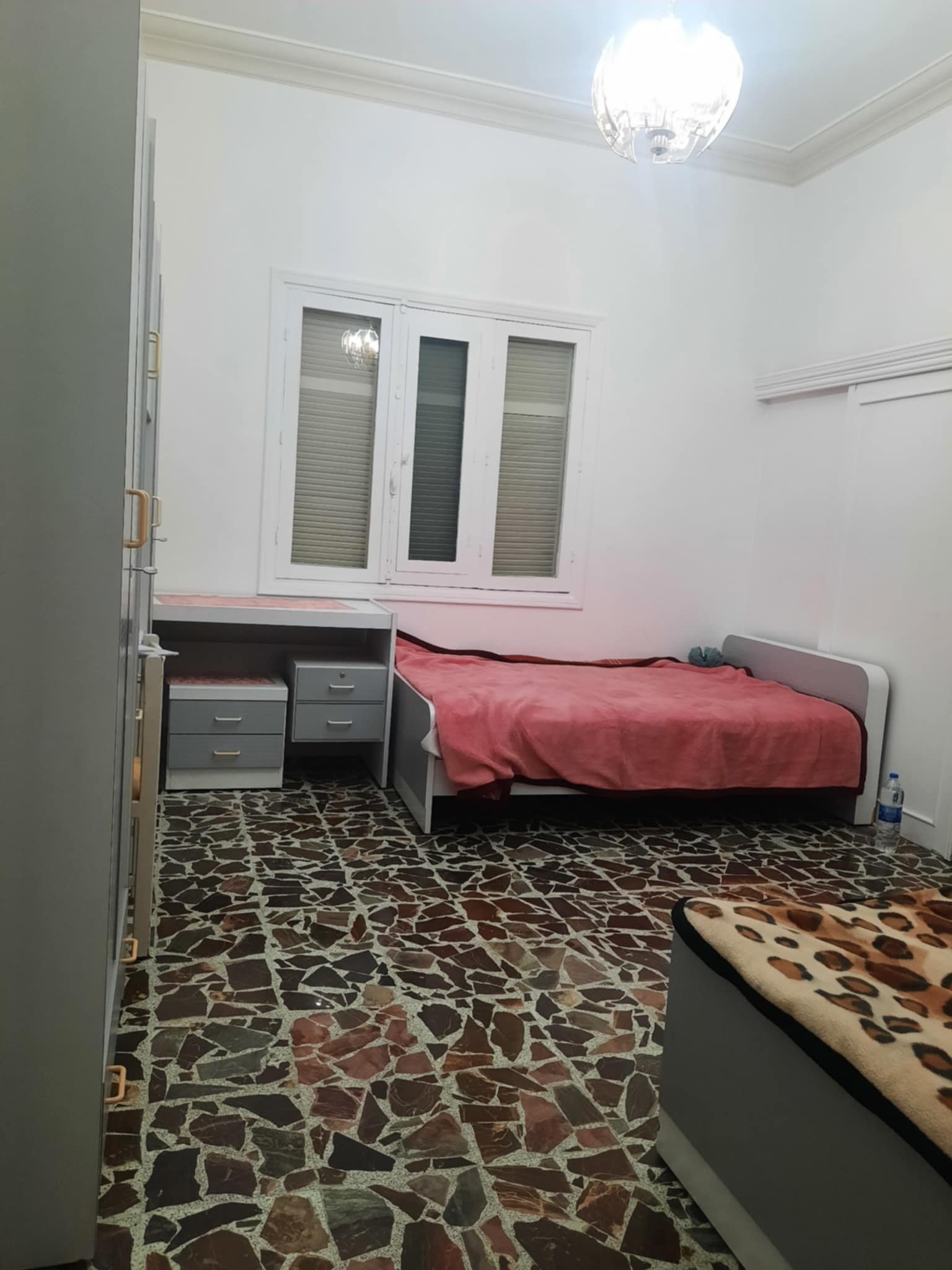 494350807_621439880941840_5923471159771810307_n