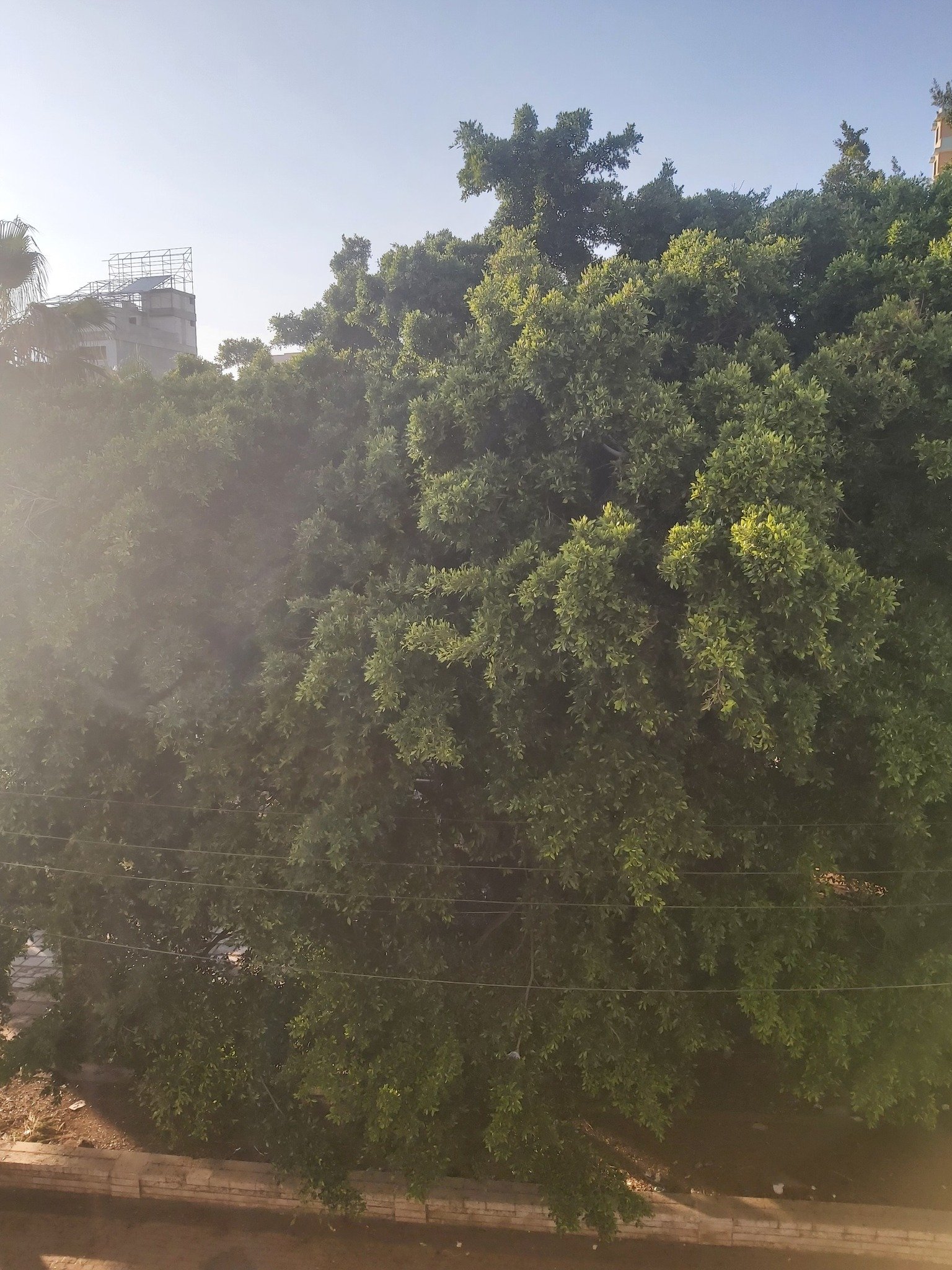 494376355_1028284179501861_3679238869888729278_n