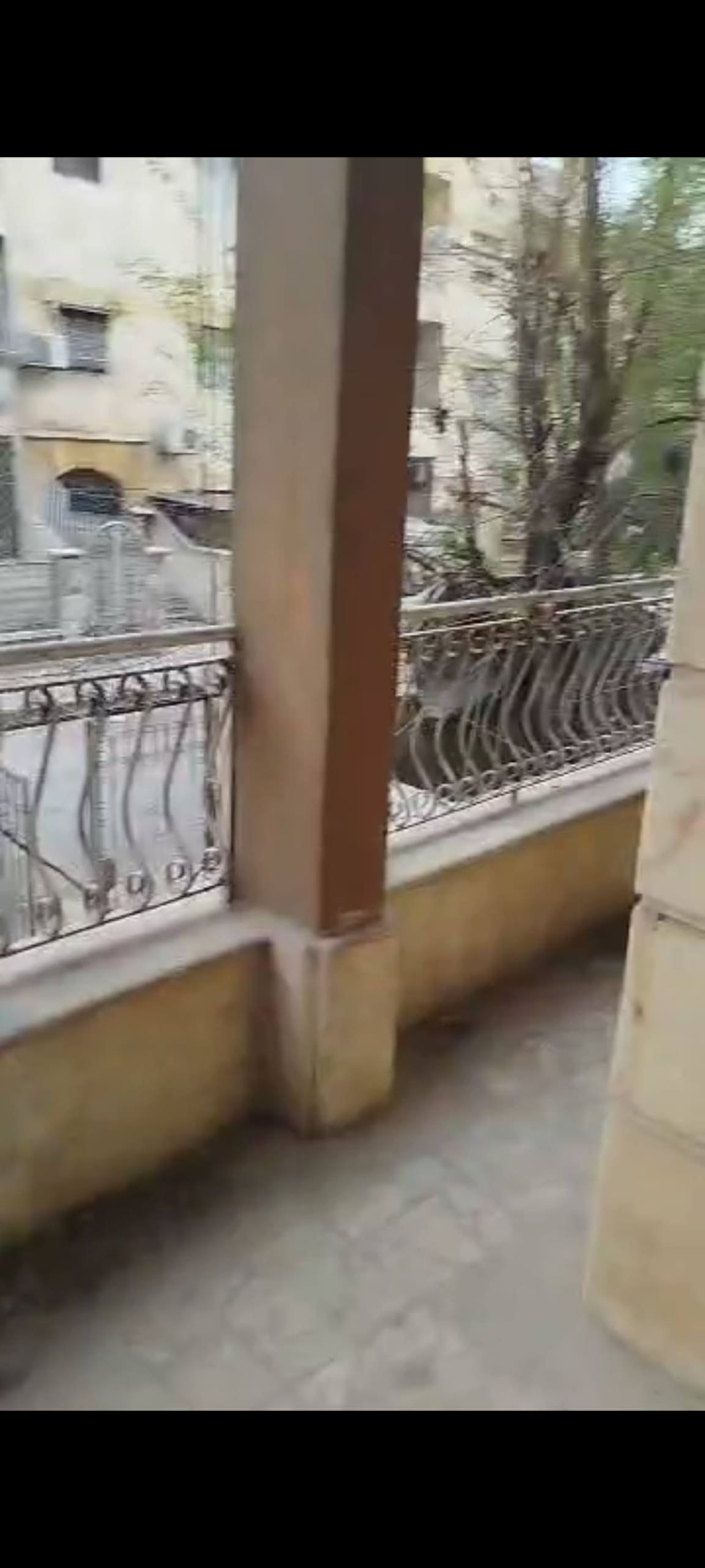 photo_2025-03-06_00-31-32