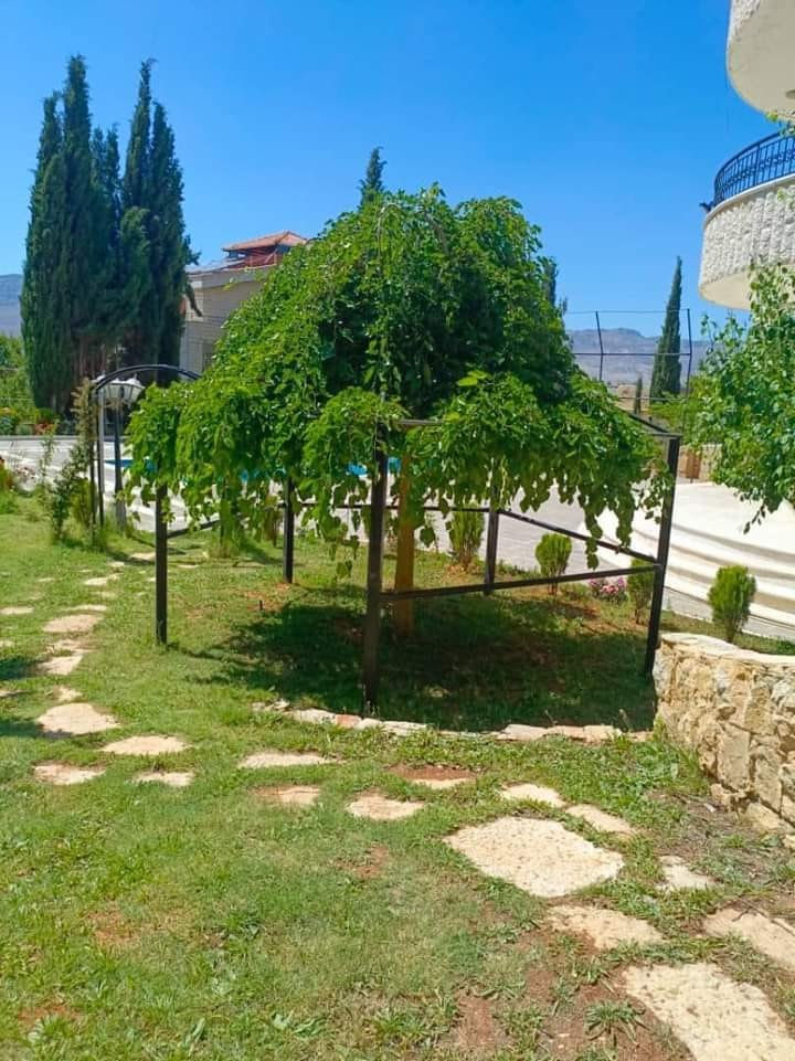 487754830_599350696449836_7395527085634462660_n