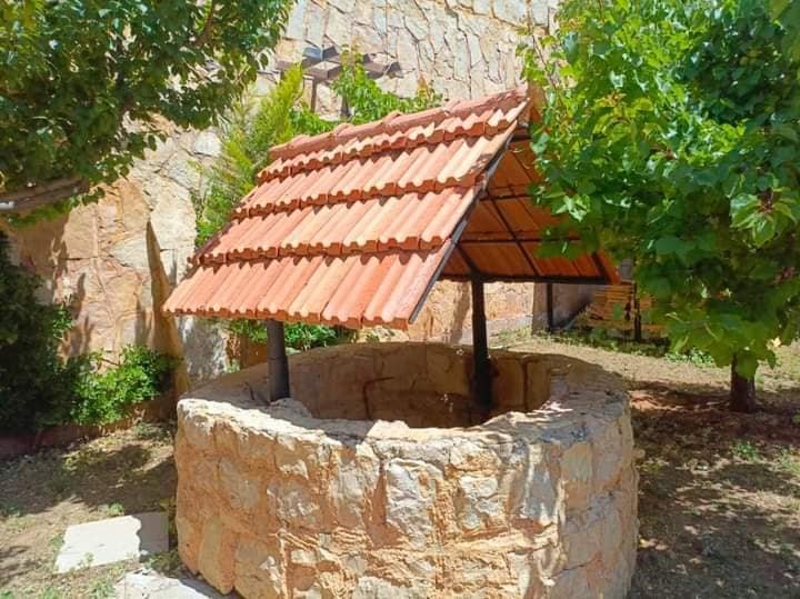 487931149_599350626449843_8242199698790063154_n