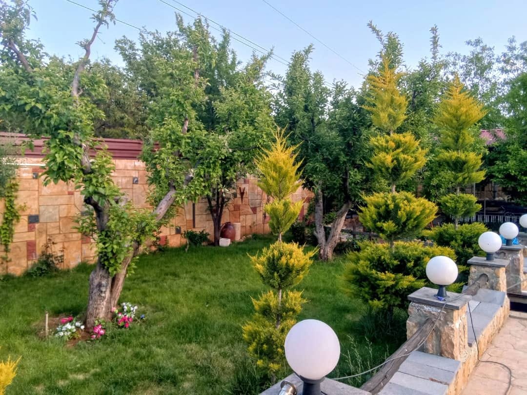 487977666_599753103076262_3644610520444591147_n