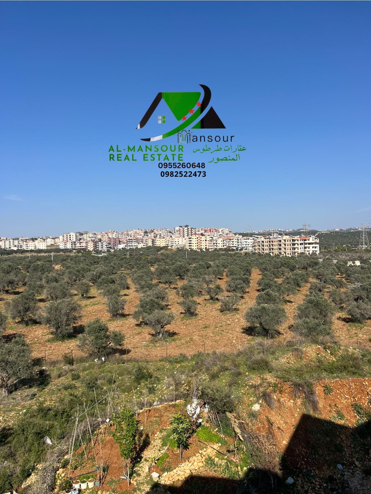 490362797_1054000770094966_1882154404198114737_n