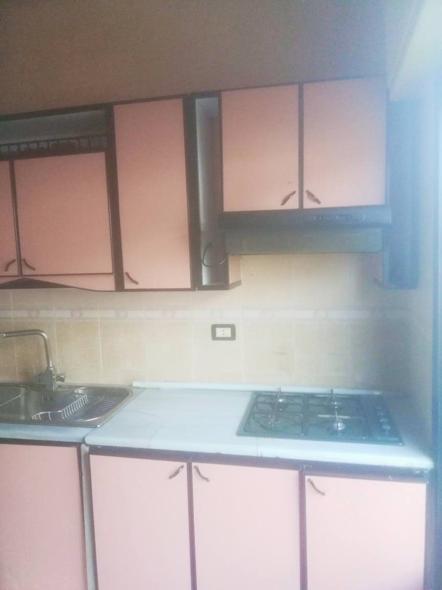 492011779_1258373459582475_3022764082308746115_n