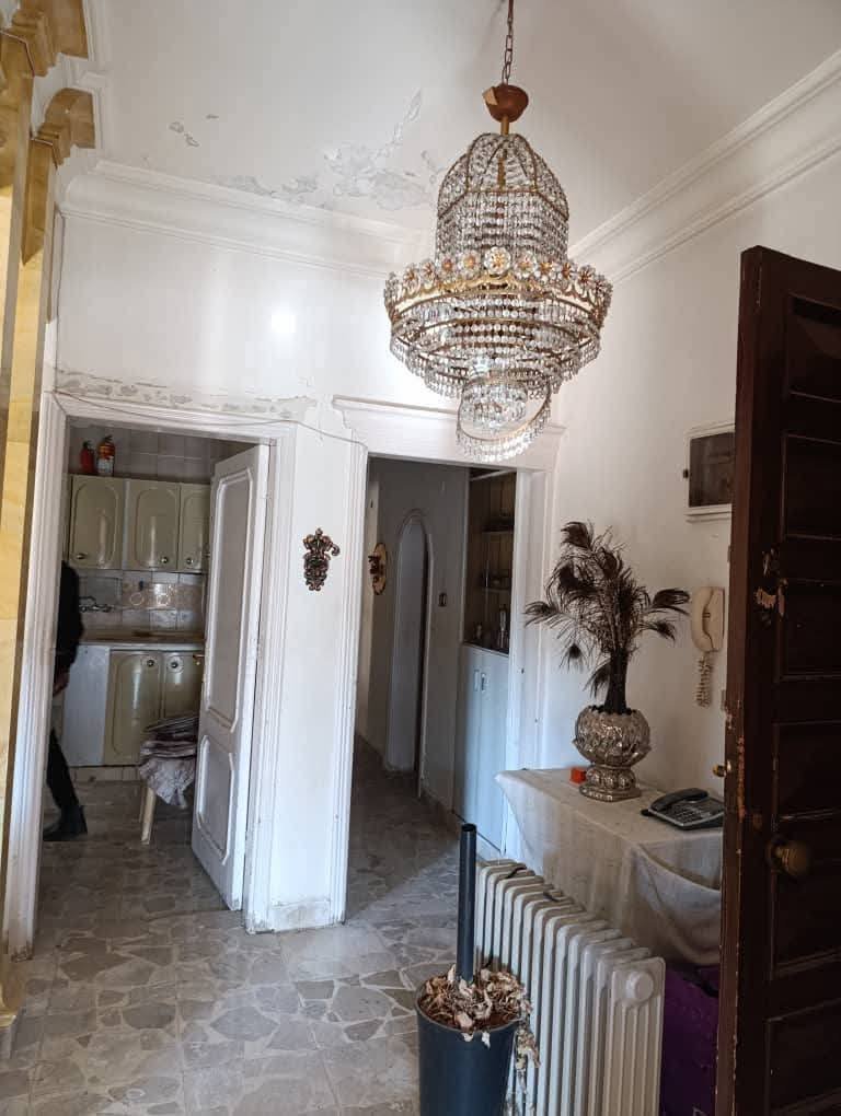 492195886_122150494586404125_5281911653418599745_n