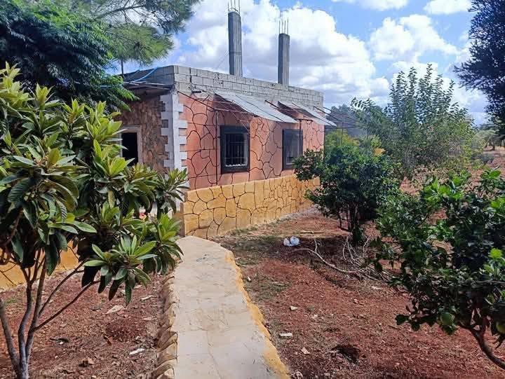 492708897_651670474145307_513237336151474357_n