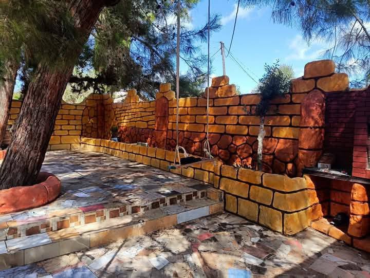 492730895_651670567478631_2468239909736071409_n