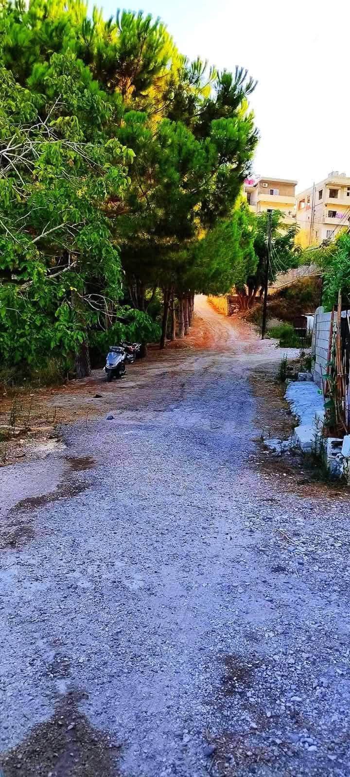 492743729_1305400414525346_8427180104314525366_n