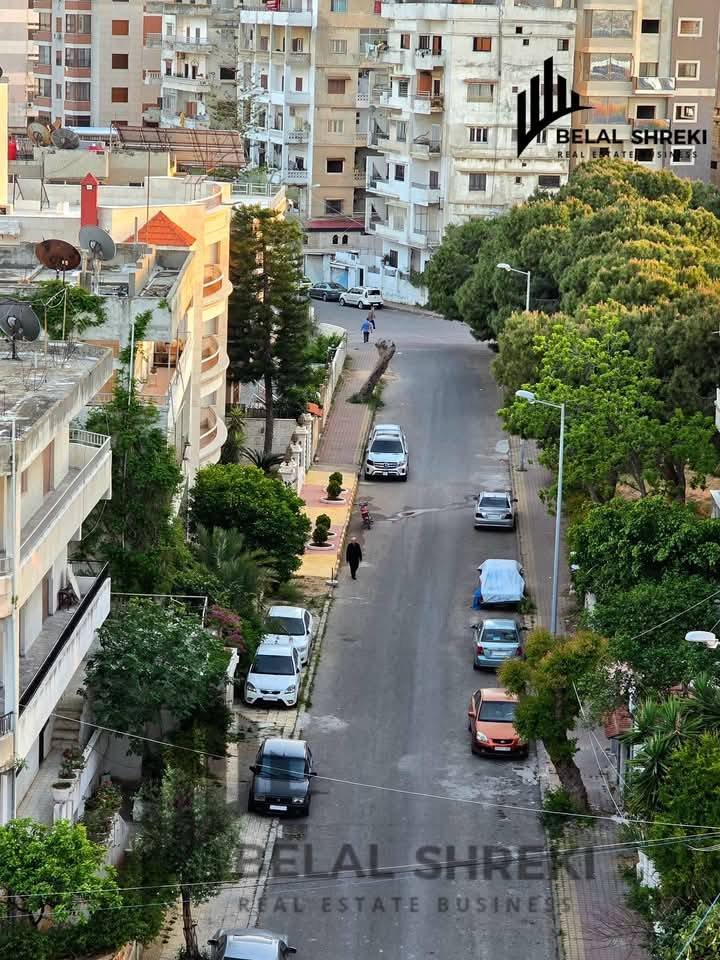 493056811_996021676007427_6034625069455392408_n