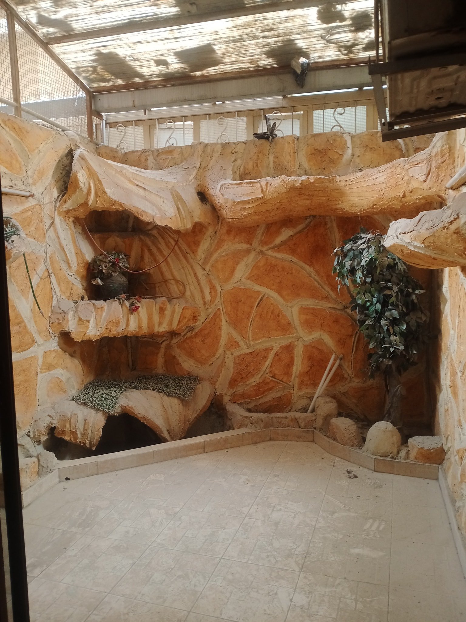 493925952_664183649585291_1427786813357002485_n