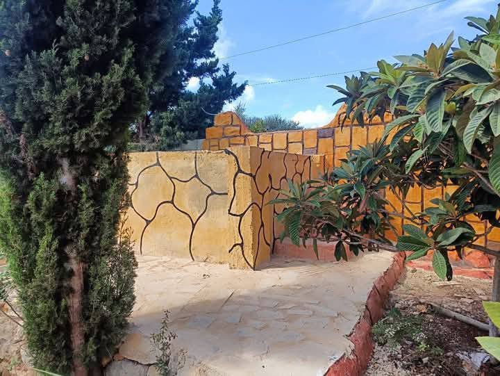 493935122_651670417478646_8282494395049569539_n