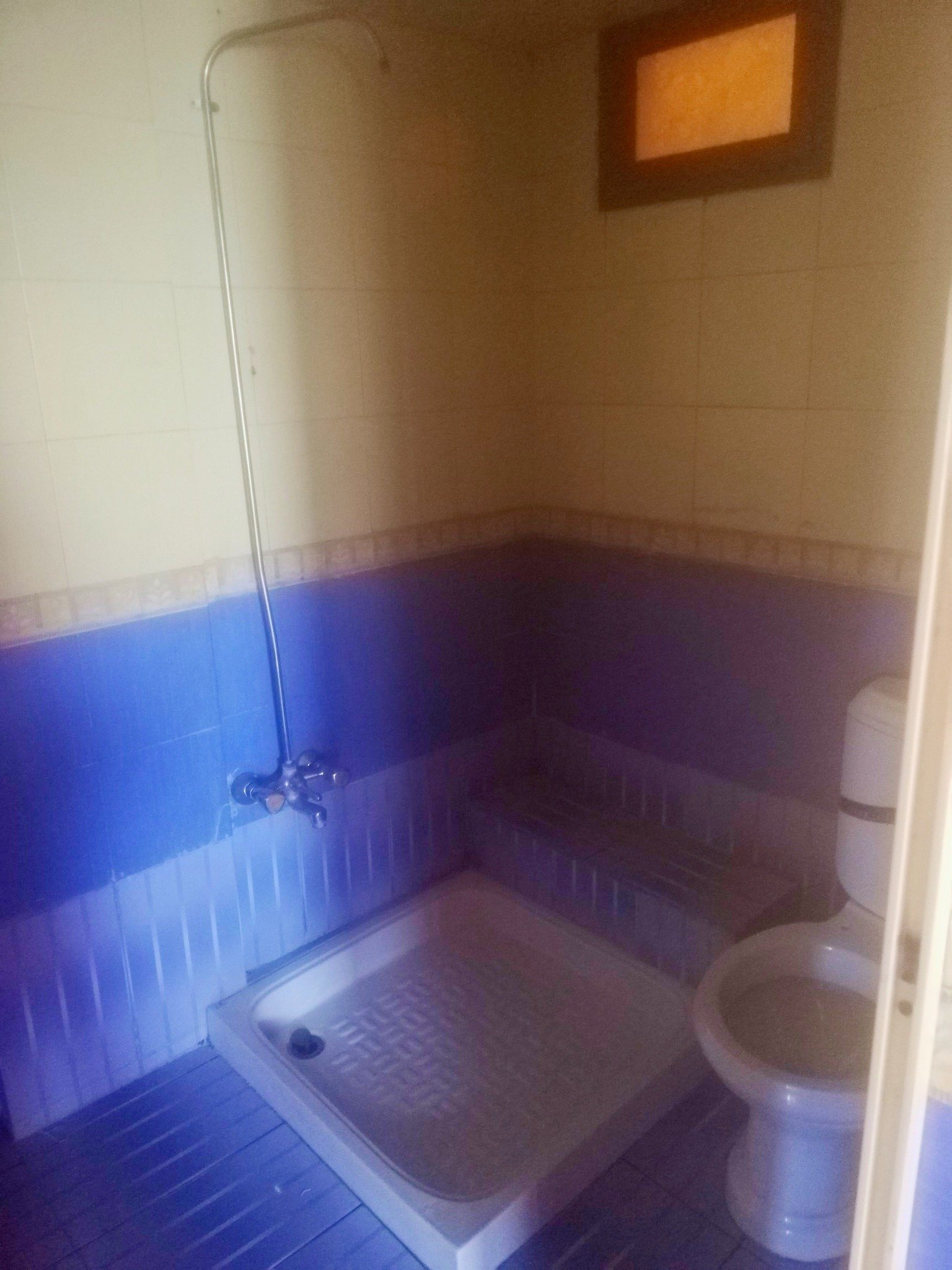 494026966_1258375079582313_2515598011564067208_n