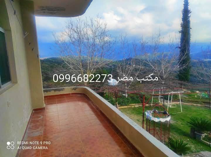 494268446_1305400657858655_8523761409417607953_n