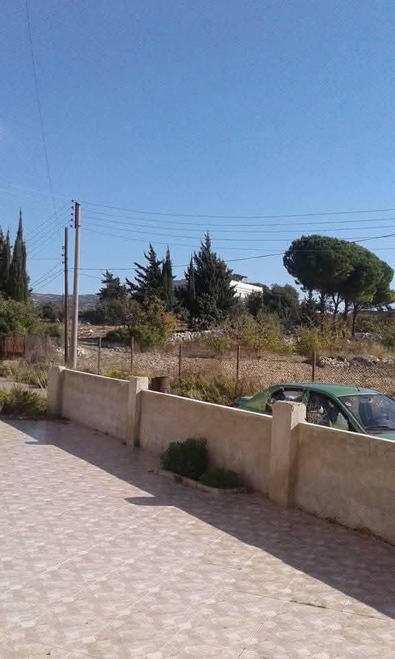 494354094_1302795614785826_7174047095614636870_n