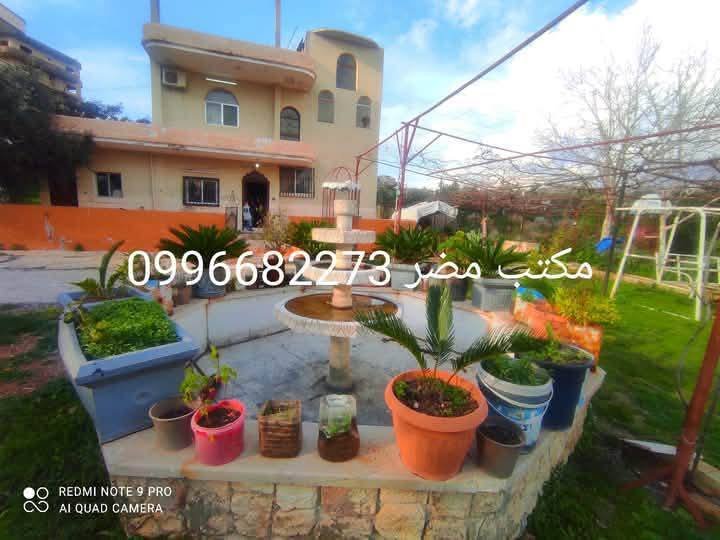 494515752_1305400501192004_7697108098601381441_n