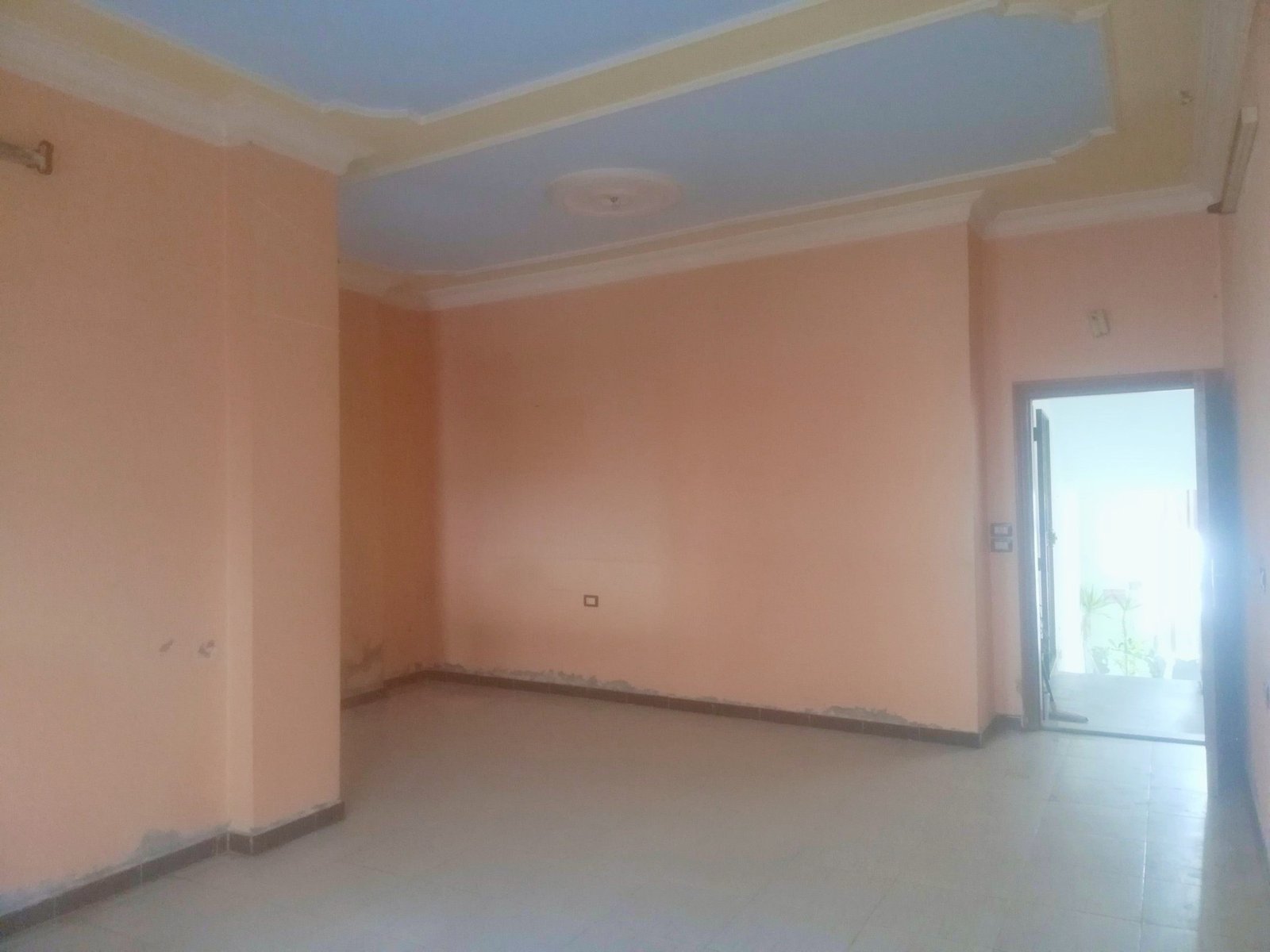 494699106_1258374912915663_413714998950213766_n