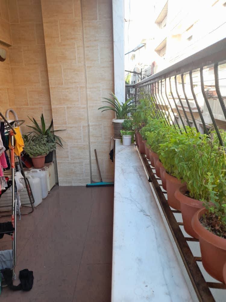 494808277_2195127230907177_1958086420370087380_n