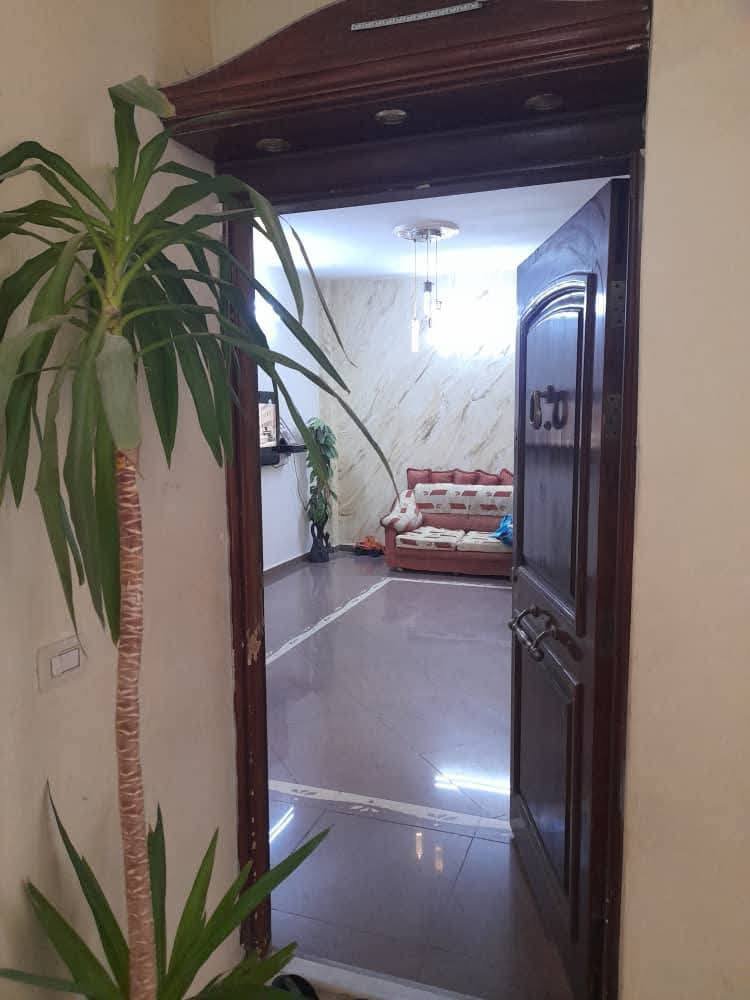 494846416_2195127347573832_5552972408490879904_n