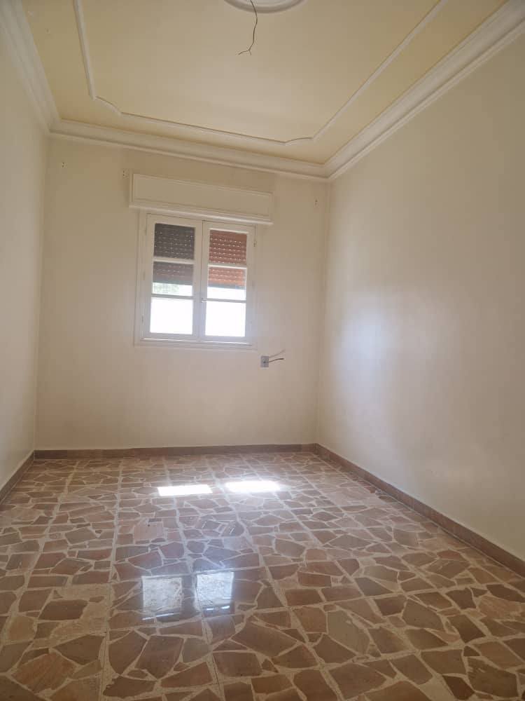 495014886_1088326229996943_7340016192926791224_n