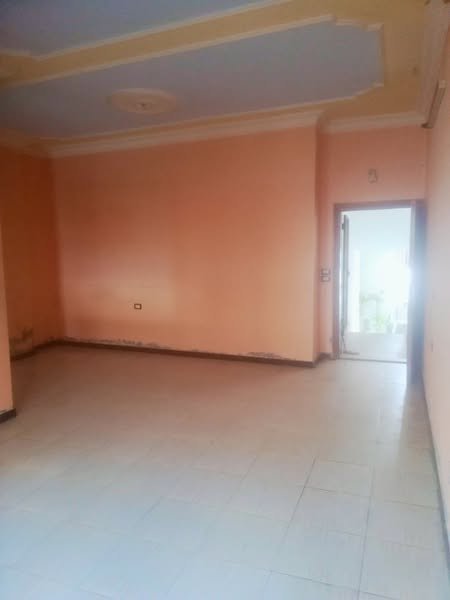 495084858_1258374342915720_2792969326471243177_n