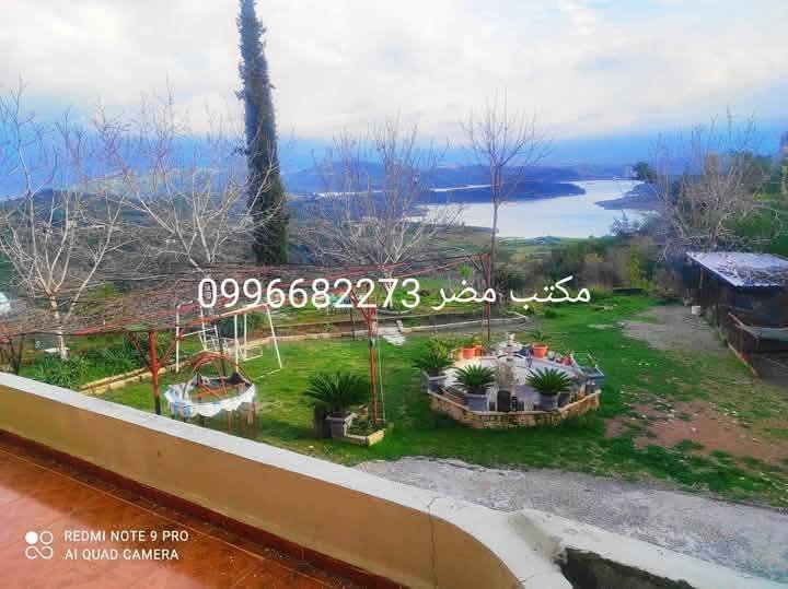 495130188_1305400301192024_4140472571567865786_n