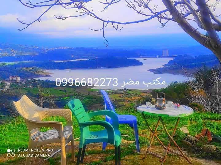 495146423_1305400261192028_6852482338757331609_n