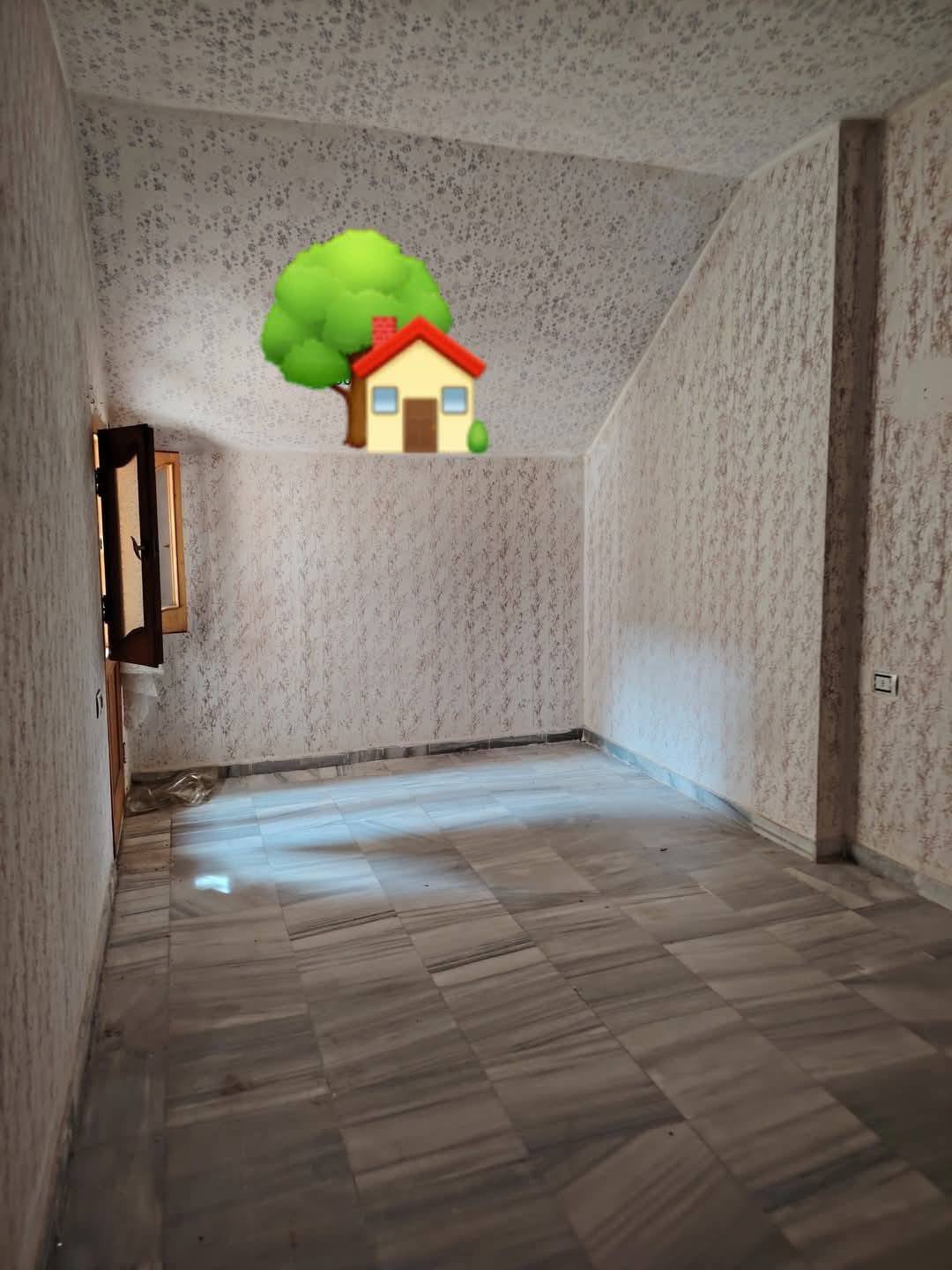 495373393_692758896459776_8208341659491670349_n