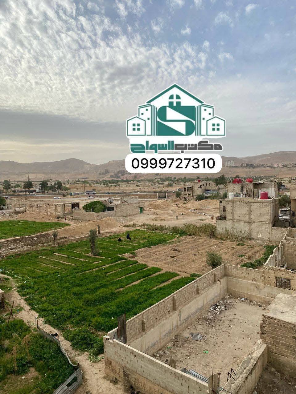 496050978_2416398978726080_8739934737158983521_n