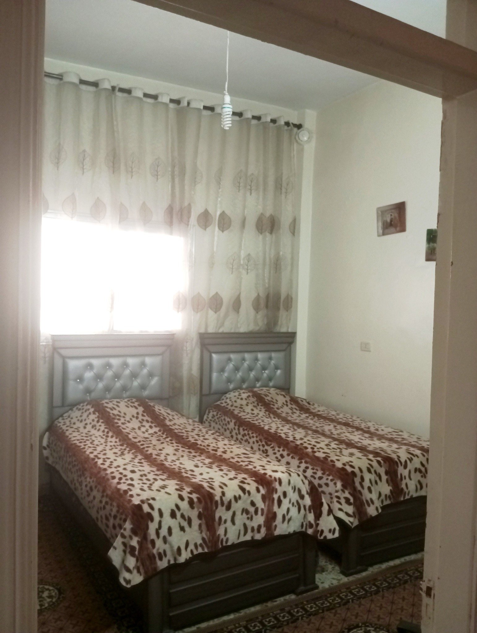 496190500_1946691536135743_4768267624765653495_n