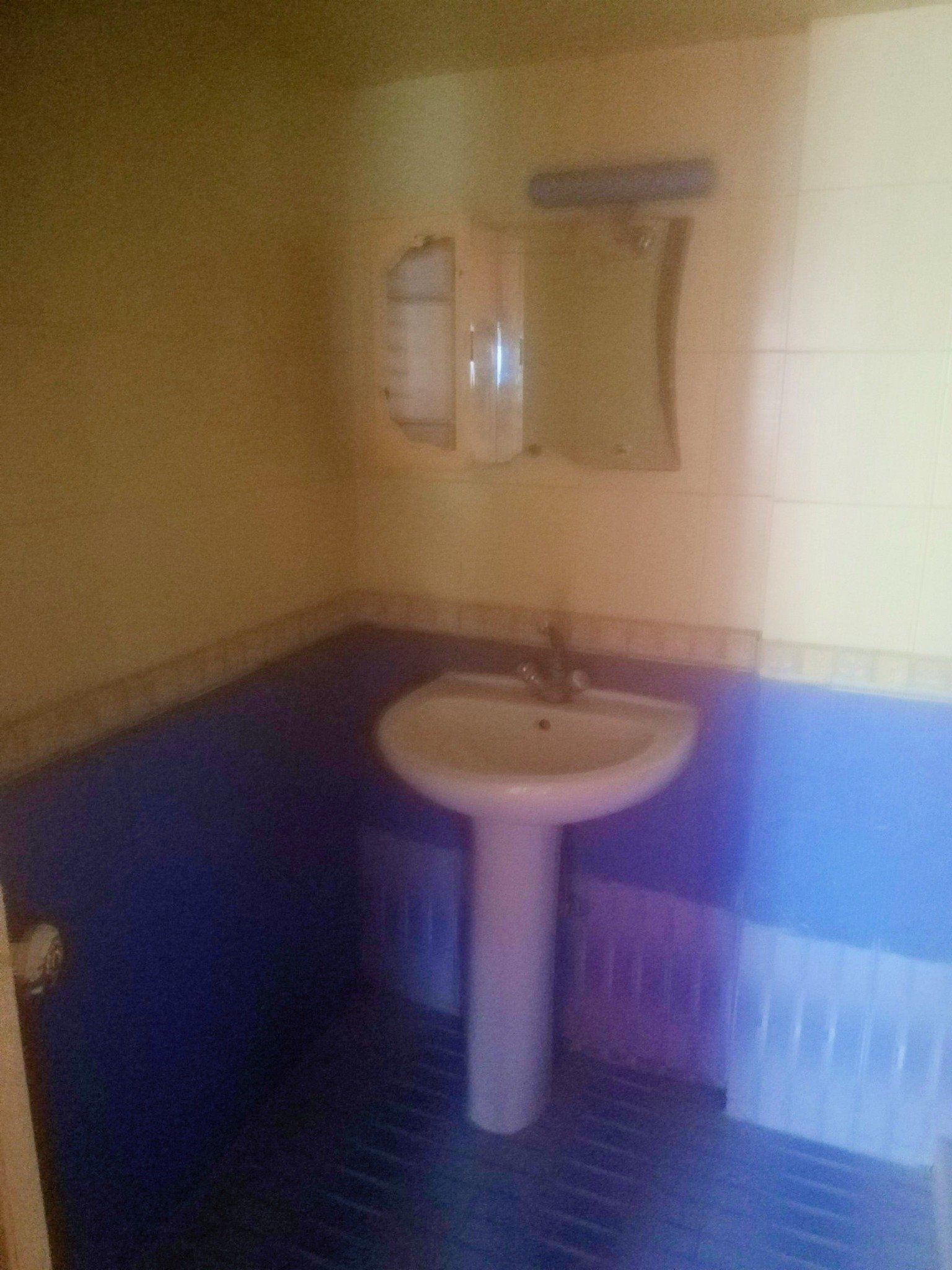 496540969_1258375172915637_7041963291115765370_n