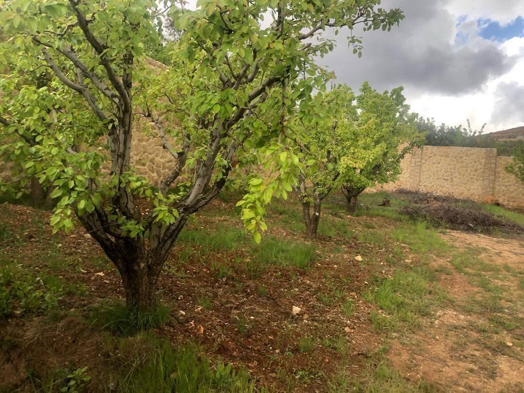 496803477_631769193207986_591833193439024495_n