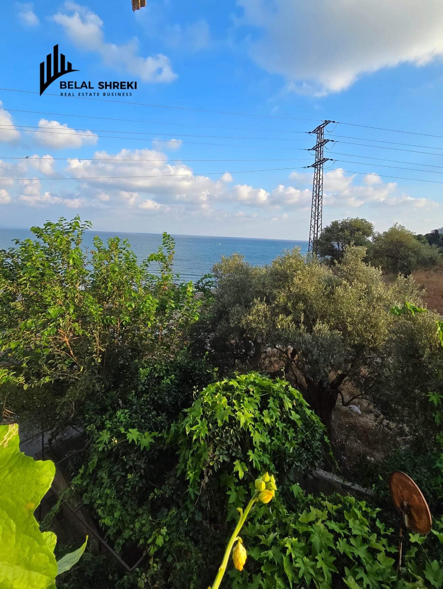 497625595_1008089851467276_9159727998065522936_n