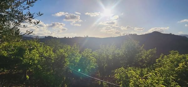 497757112_631769133207992_4711947972493766473_n