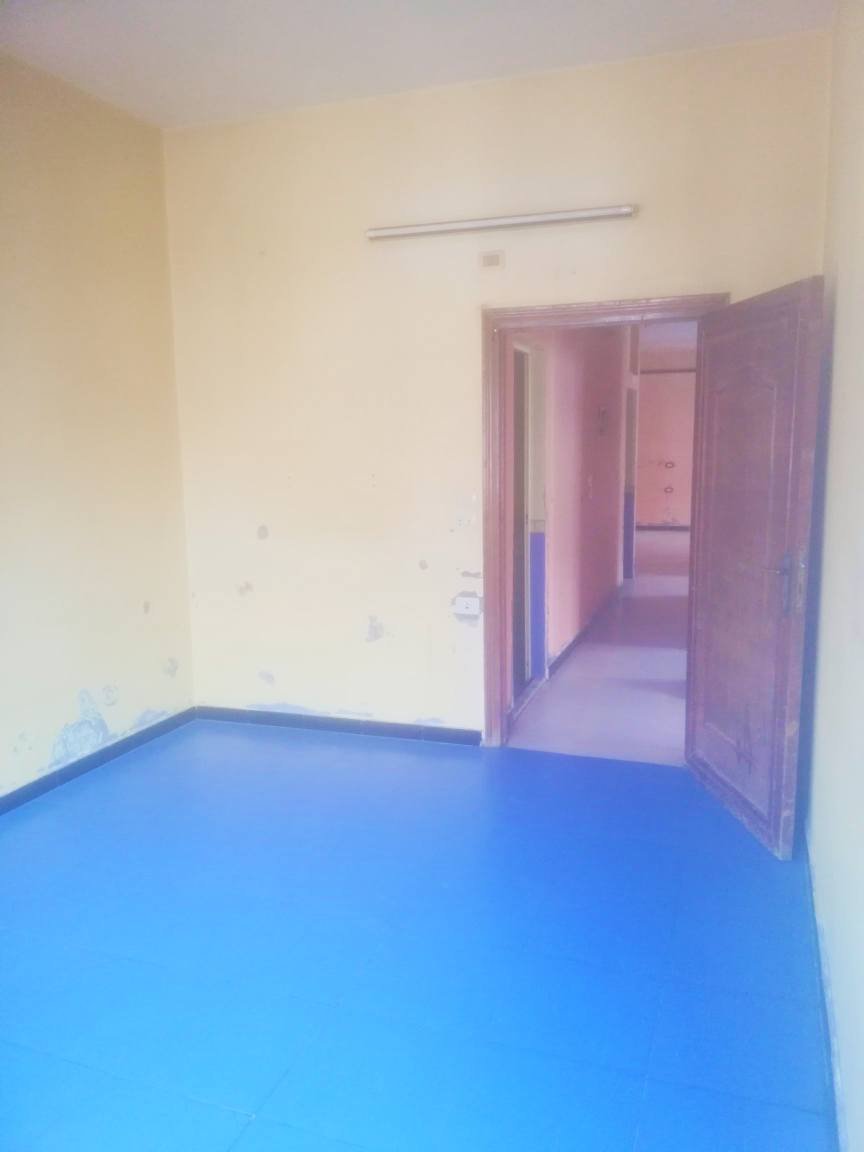 498314127_1258373352915819_845471636242300975_n