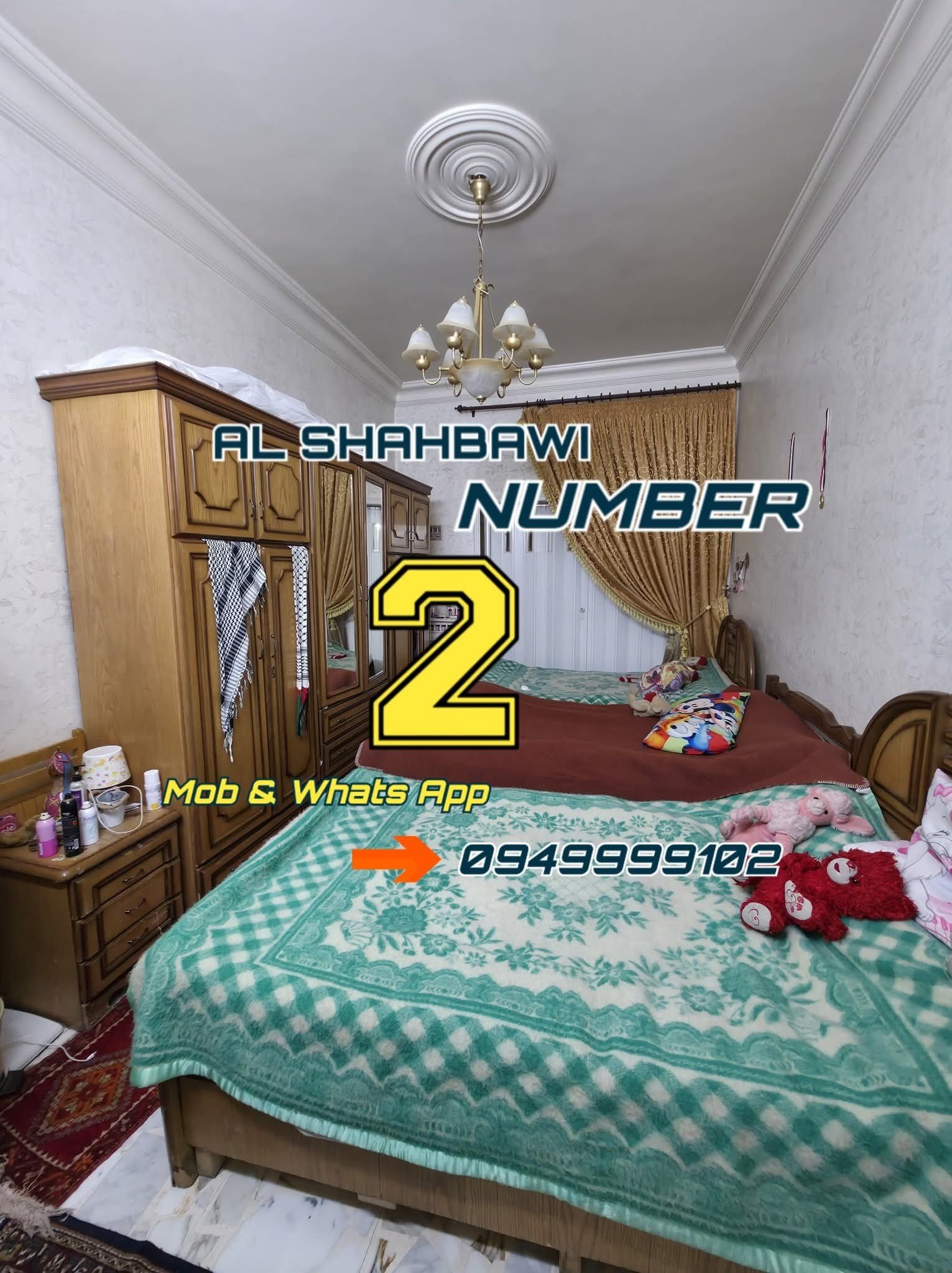 498641113_1124995216321688_8978617367490572258_n