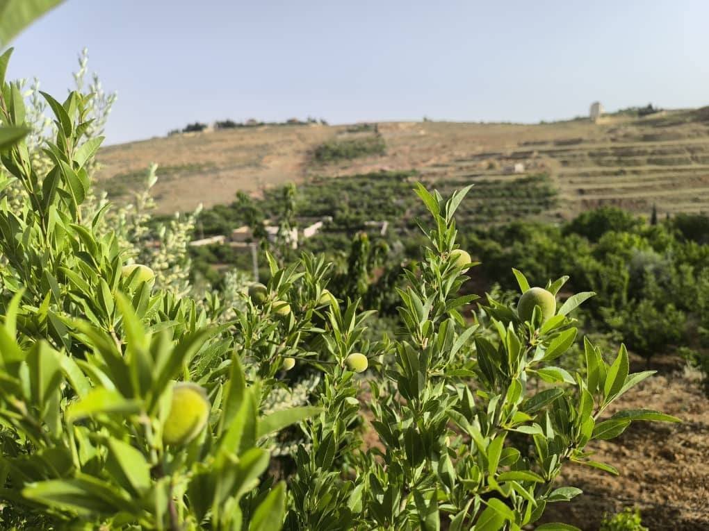 499163903_635886909462881_8518958293118096514_n