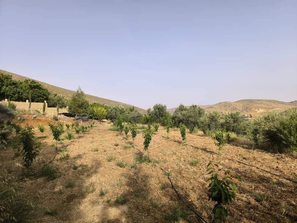 499220977_635886859462886_7634653209249290436_n