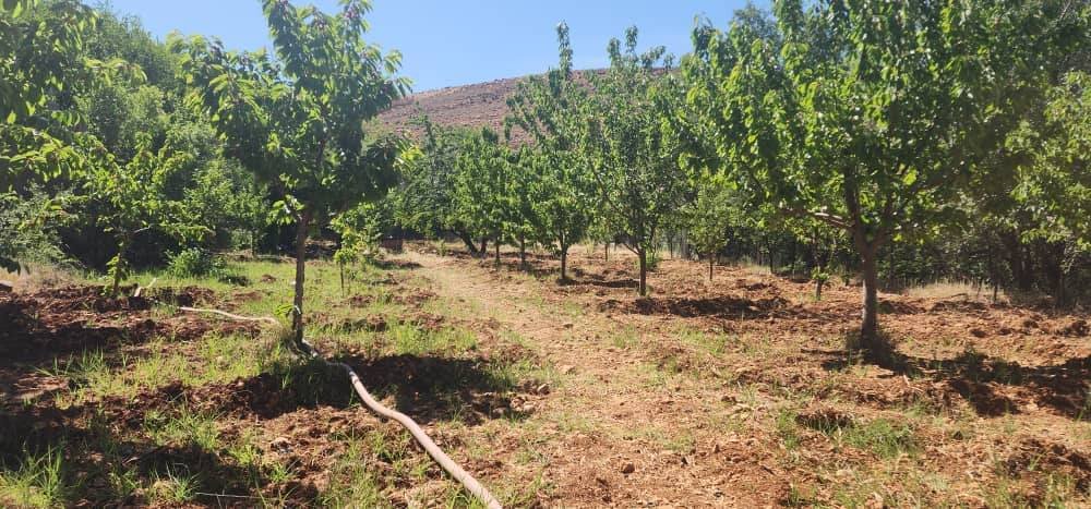 499315436_636629779388594_2538370835149889975_n