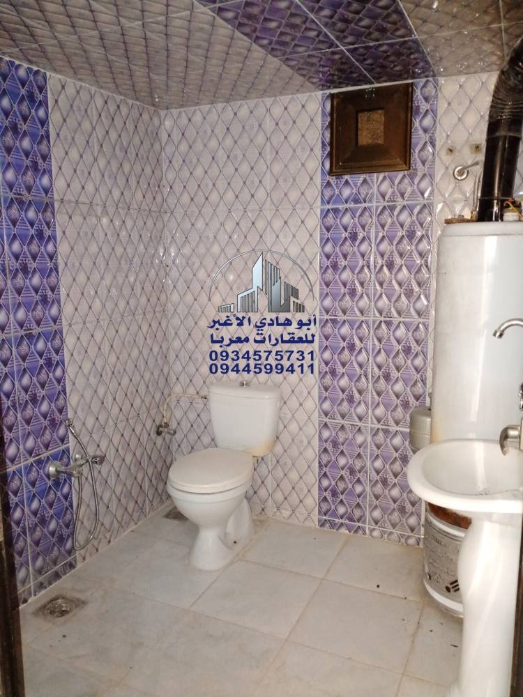 499394356_122156319380548386_1102480399063204462_n