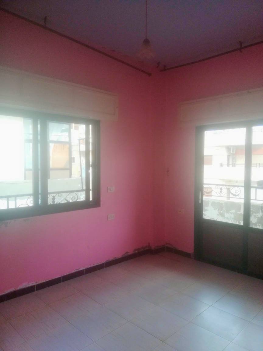 499521118_1258373299582491_5185791060068509017_n