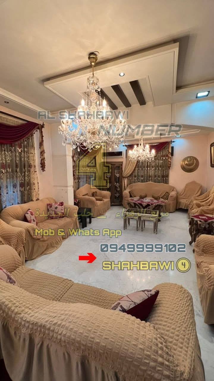 499549547_1127387126082497_6596396435457633005_n