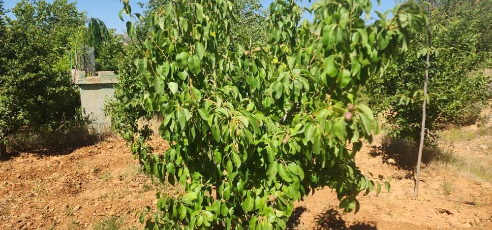 499610285_636629362721969_5182234349374124197_n (1)