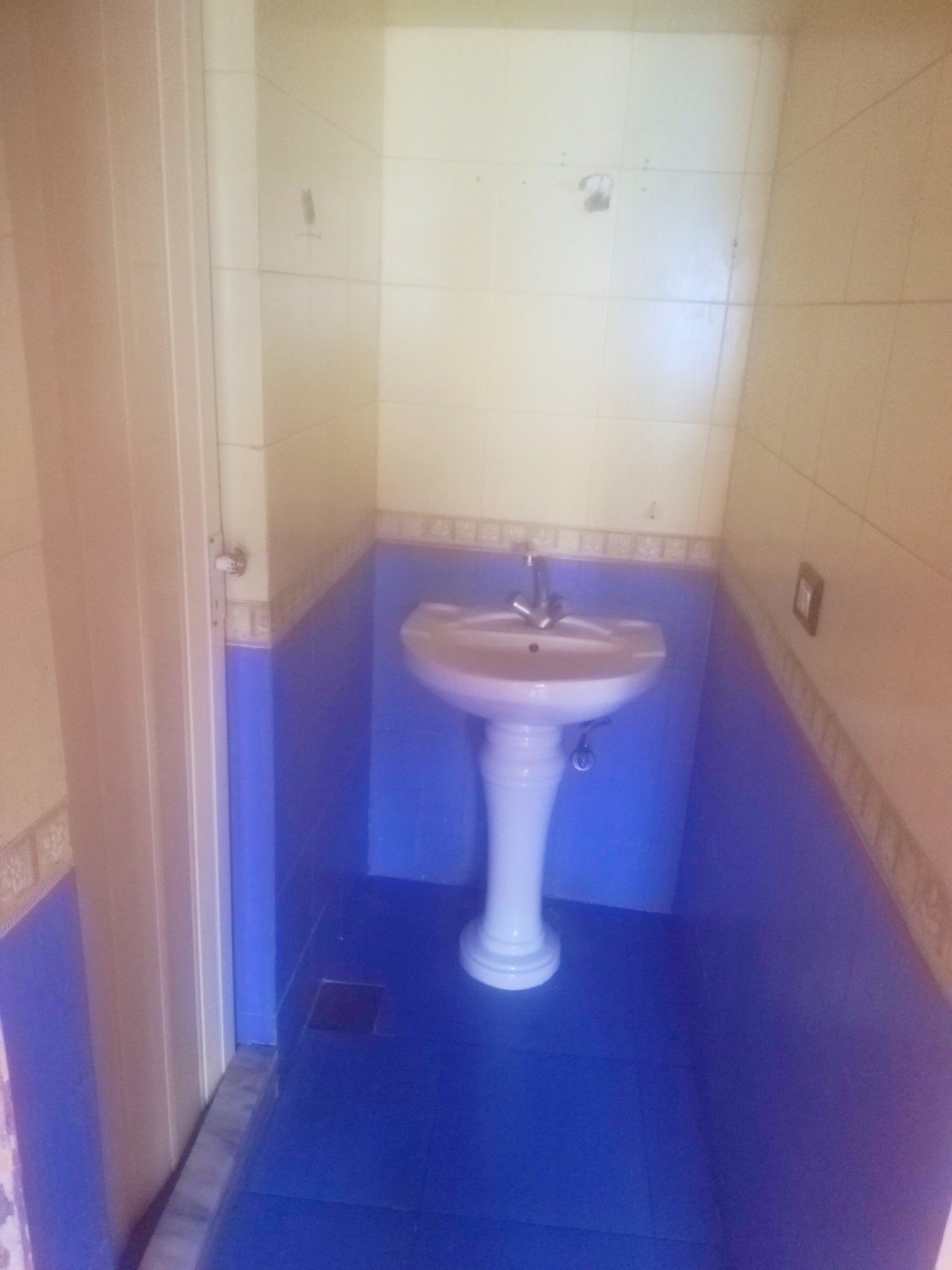 499621516_1258375032915651_84186674006902265_n