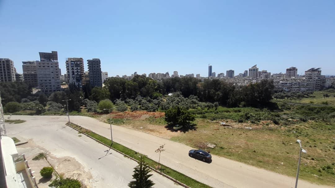 499707807_1047438590919753_7029496570085237949_n