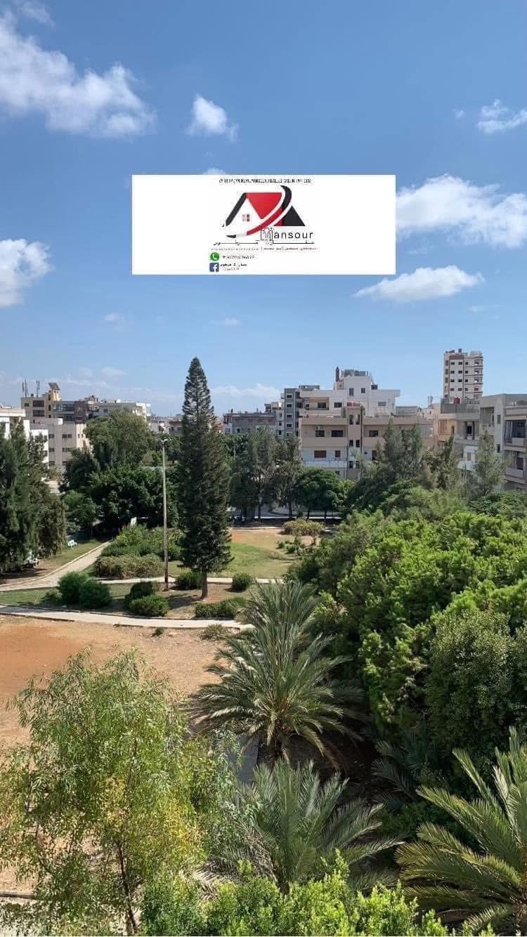 499724883_1081865280641848_7572486354371191421_n