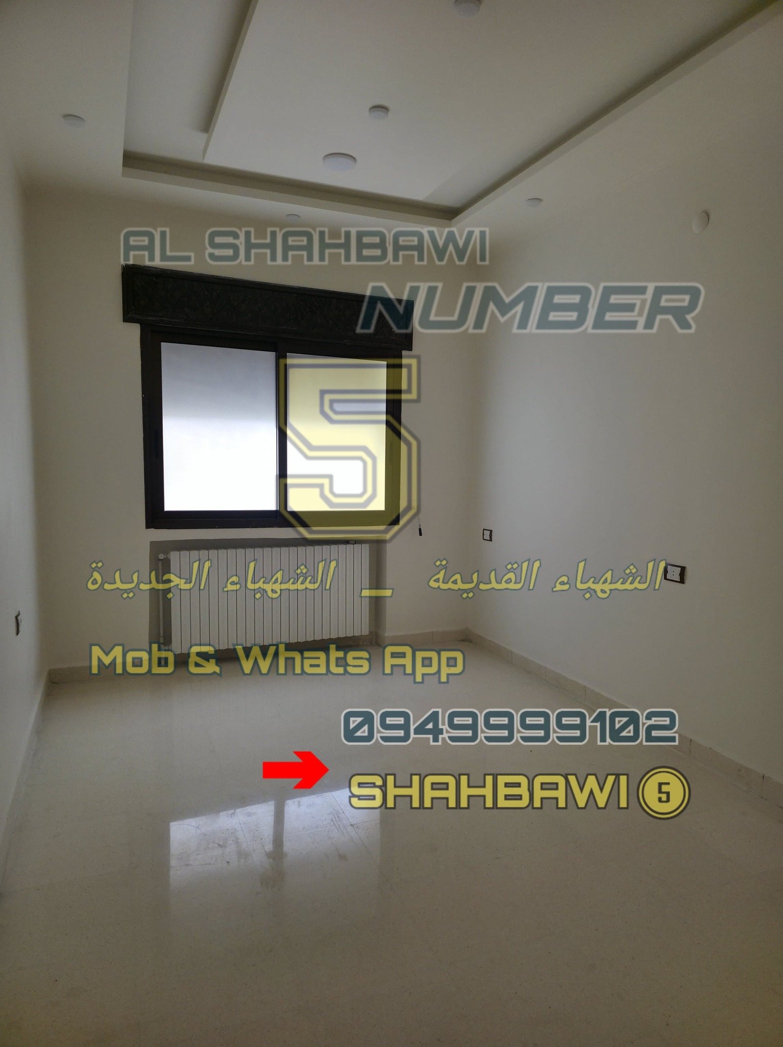 499890450_1131078325713377_688456004244841343_n